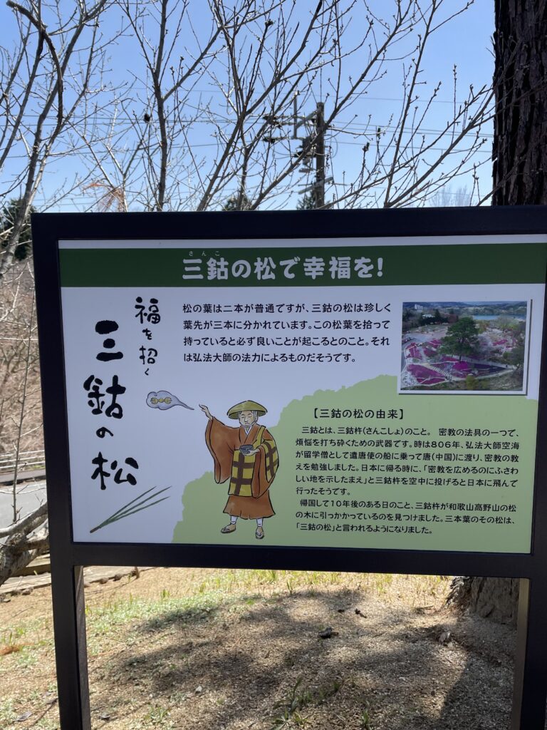 三鈷の松案内看板