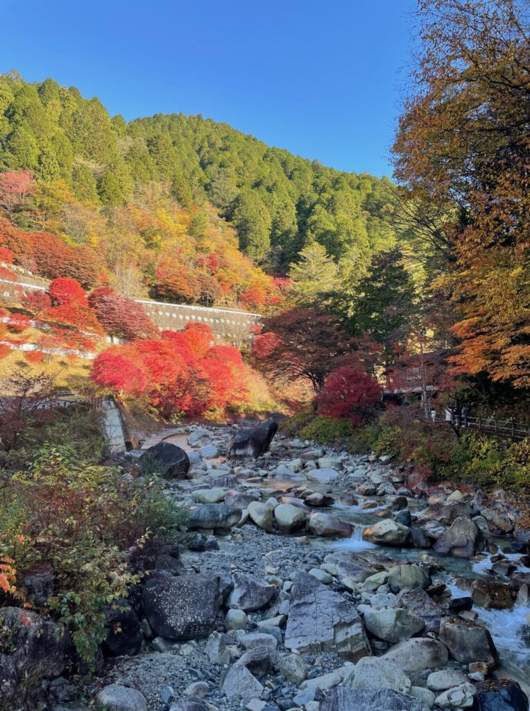 夕森渓谷　入口紅葉