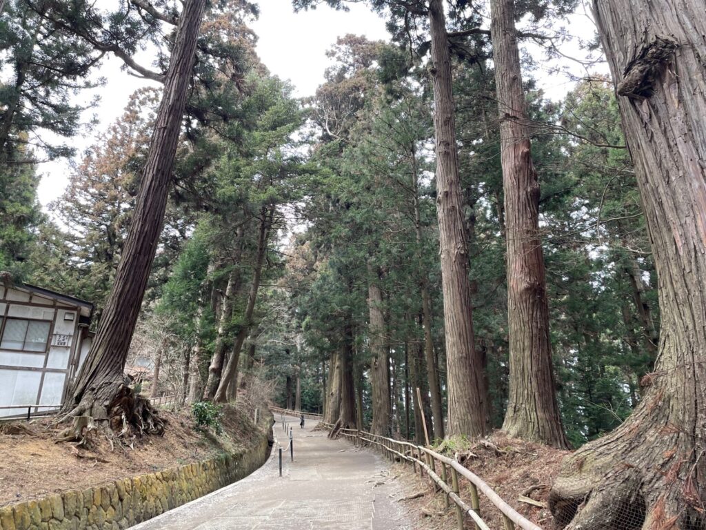 中尊寺月見坂