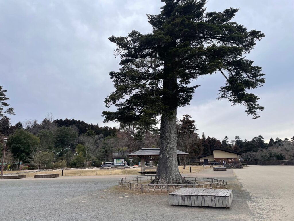 舘様インタビューの場所